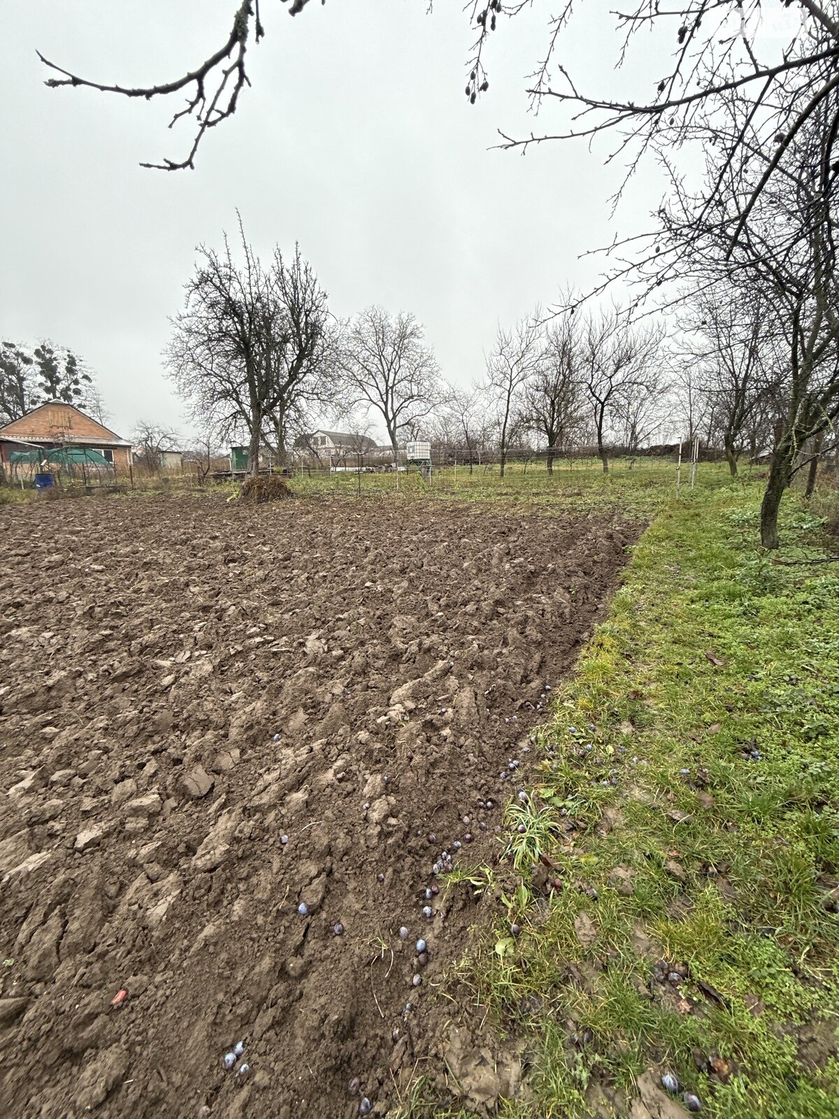 Земельный участок под жилую застройку в Зарванцах, площадь 23 сотки фото 1 Земельный участок под жилую застройку в Зарванцах, площадь 23 сотки фото 1