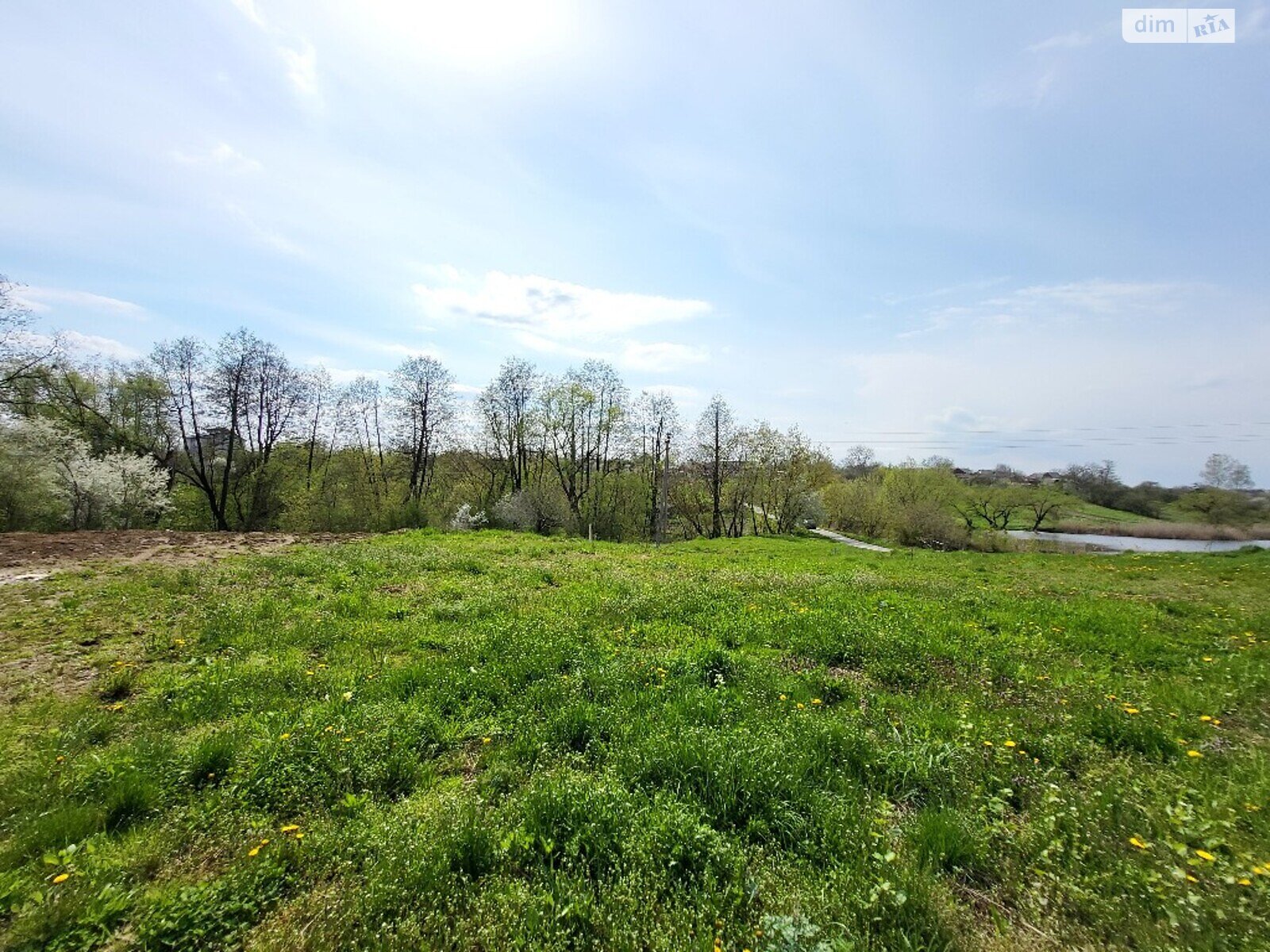 Земельна ділянка під житлову забудову в Зарванцях, площа 20 соток фото 1