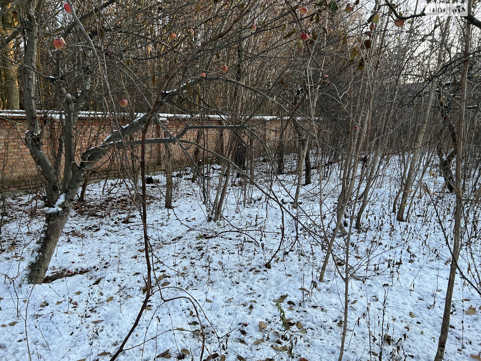 Земельна ділянка під житлову забудову в Зарванцях, площа 5.3 сотки фото 1