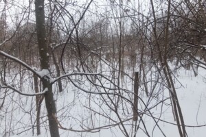 Земельна ділянка під житлову забудову в Зарванцях, площа 10 соток фото 2