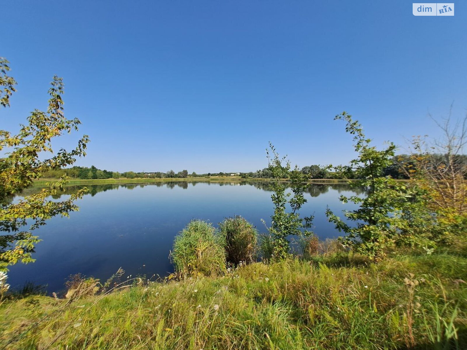 Земельный участок под жилую застройку в Заваловке, площадь 42.32 сотки фото 1 Земельный участок под жилую застройку в Заваловке, площадь 42.32 сотки фото 1