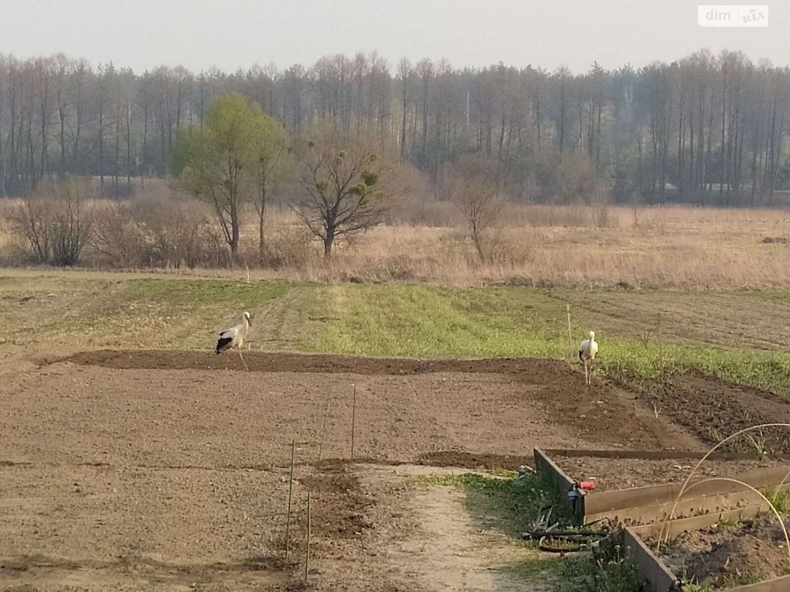 Земельный участок под жилую застройку в Заваловке, площадь 42.32 сотки фото 1 Земельный участок под жилую застройку в Заваловке, площадь 42.32 сотки фото 1