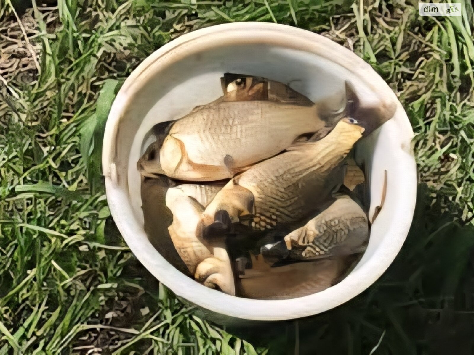 Земельный участок под жилую застройку в Заваловке, площадь 42.32 сотки фото 1 Земельный участок под жилую застройку в Заваловке, площадь 42.32 сотки фото 1