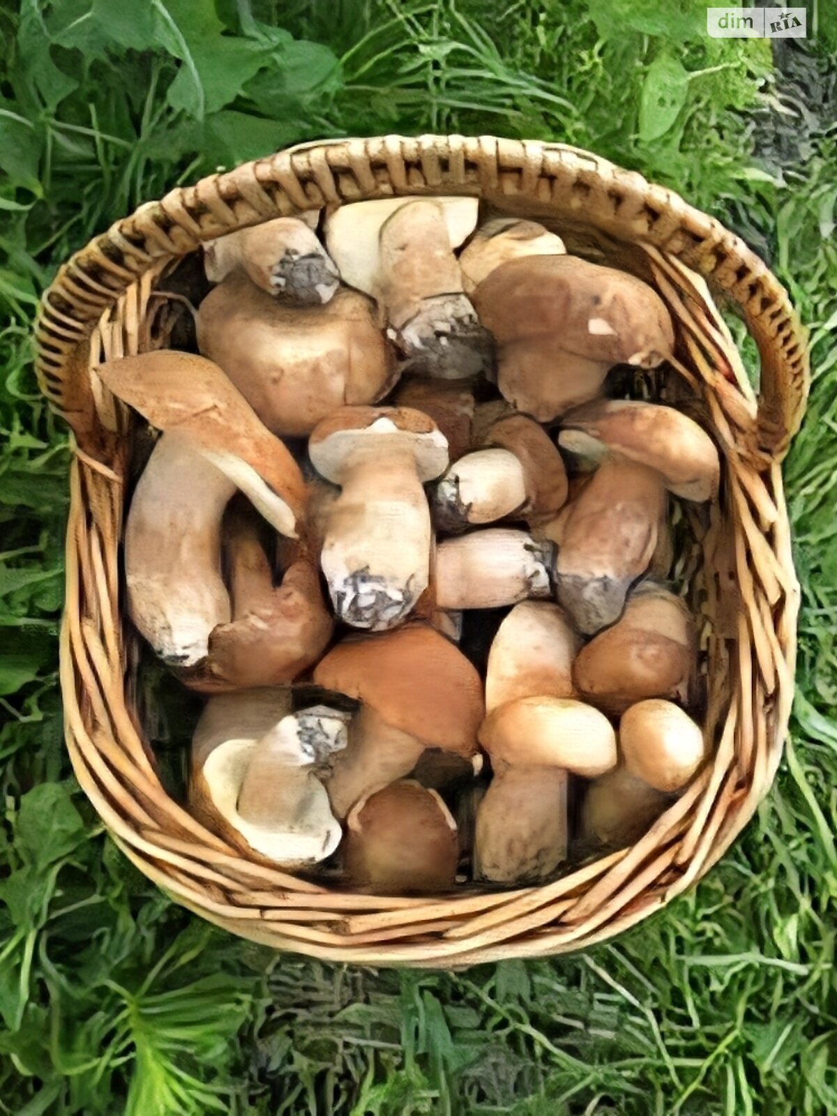 Земельный участок под жилую застройку в Заваловке, площадь 42.32 сотки фото 1 Земельный участок под жилую застройку в Заваловке, площадь 42.32 сотки фото 1