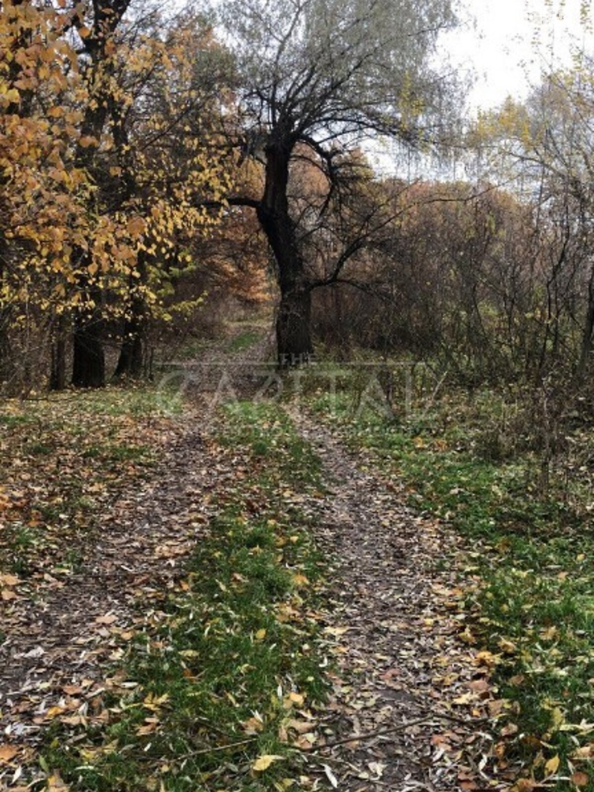 Земельна ділянка під житлову забудову в Зазим’ї, площа 24 сотки фото 1