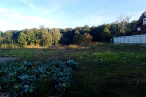 Земельный участок под жилую застройку в Зазимье, площадь 44 сотки фото 2