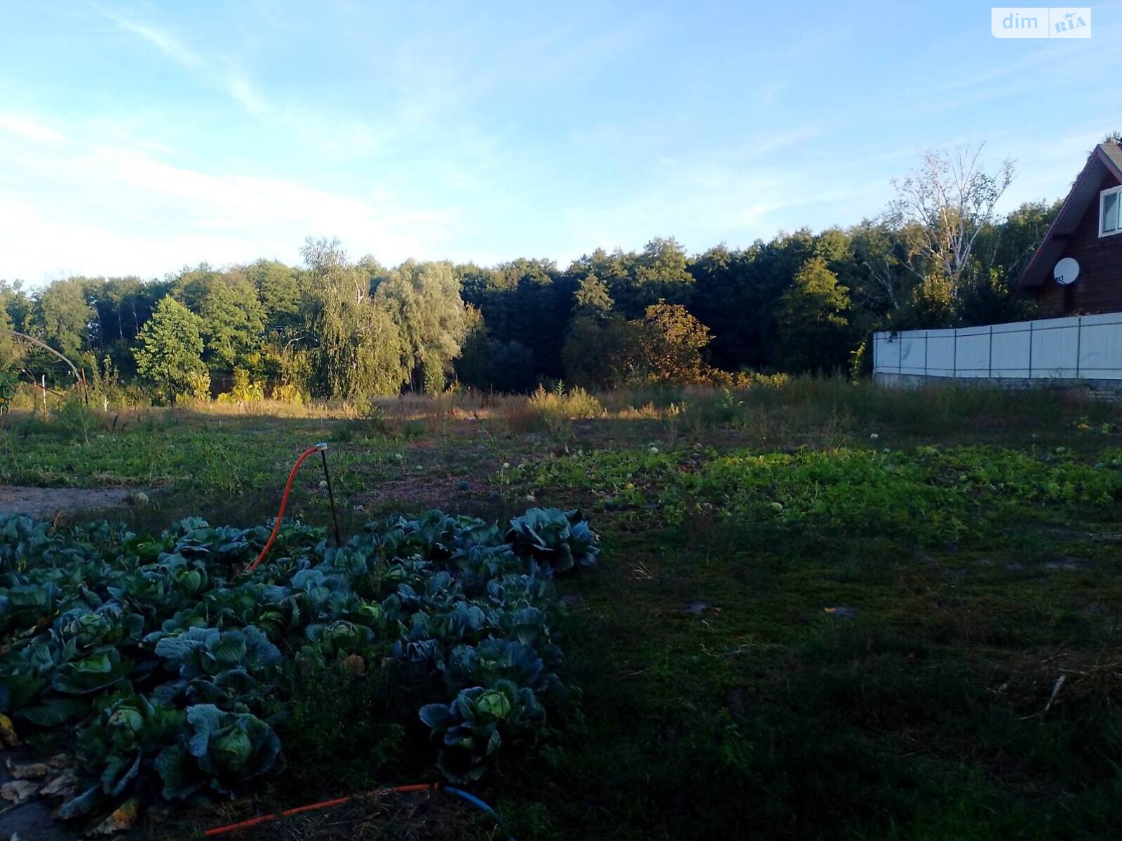 Земельный участок под жилую застройку в Зазимье, площадь 44 сотки фото 1