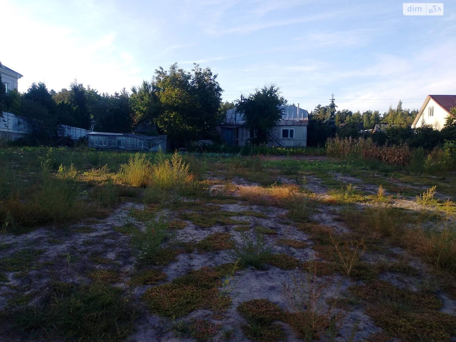 Земельный участок под жилую застройку в Зазимье, площадь 44 сотки фото 1