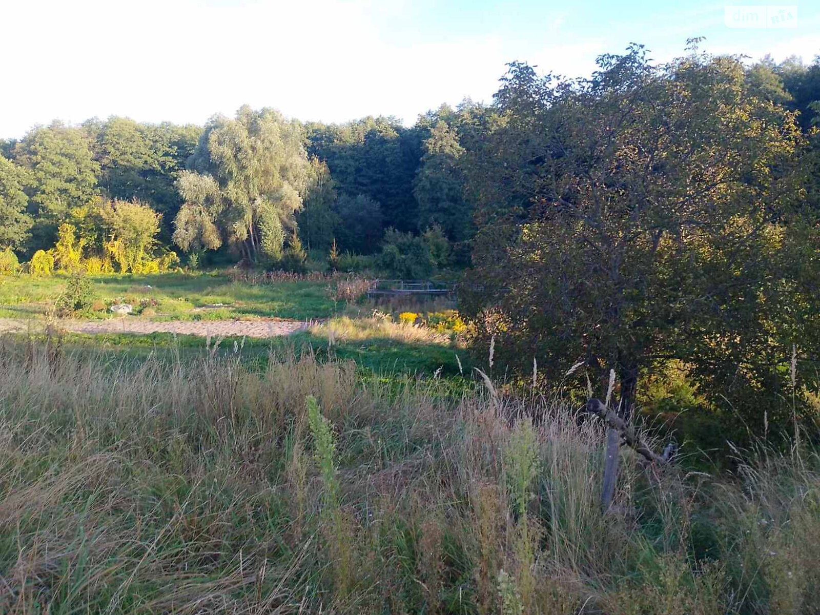 Земельный участок под жилую застройку в Зазимье, площадь 44 сотки фото 1