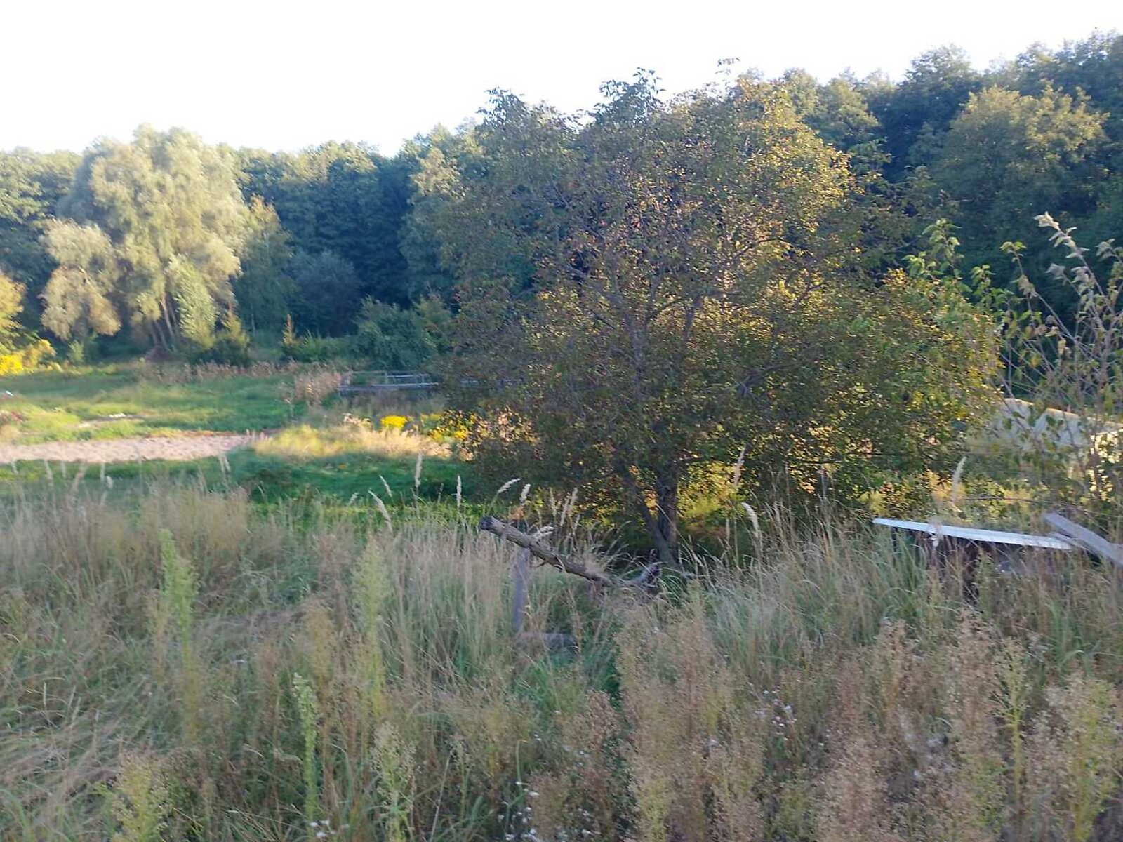 Земельный участок под жилую застройку в Зазимье, площадь 44 сотки фото 1