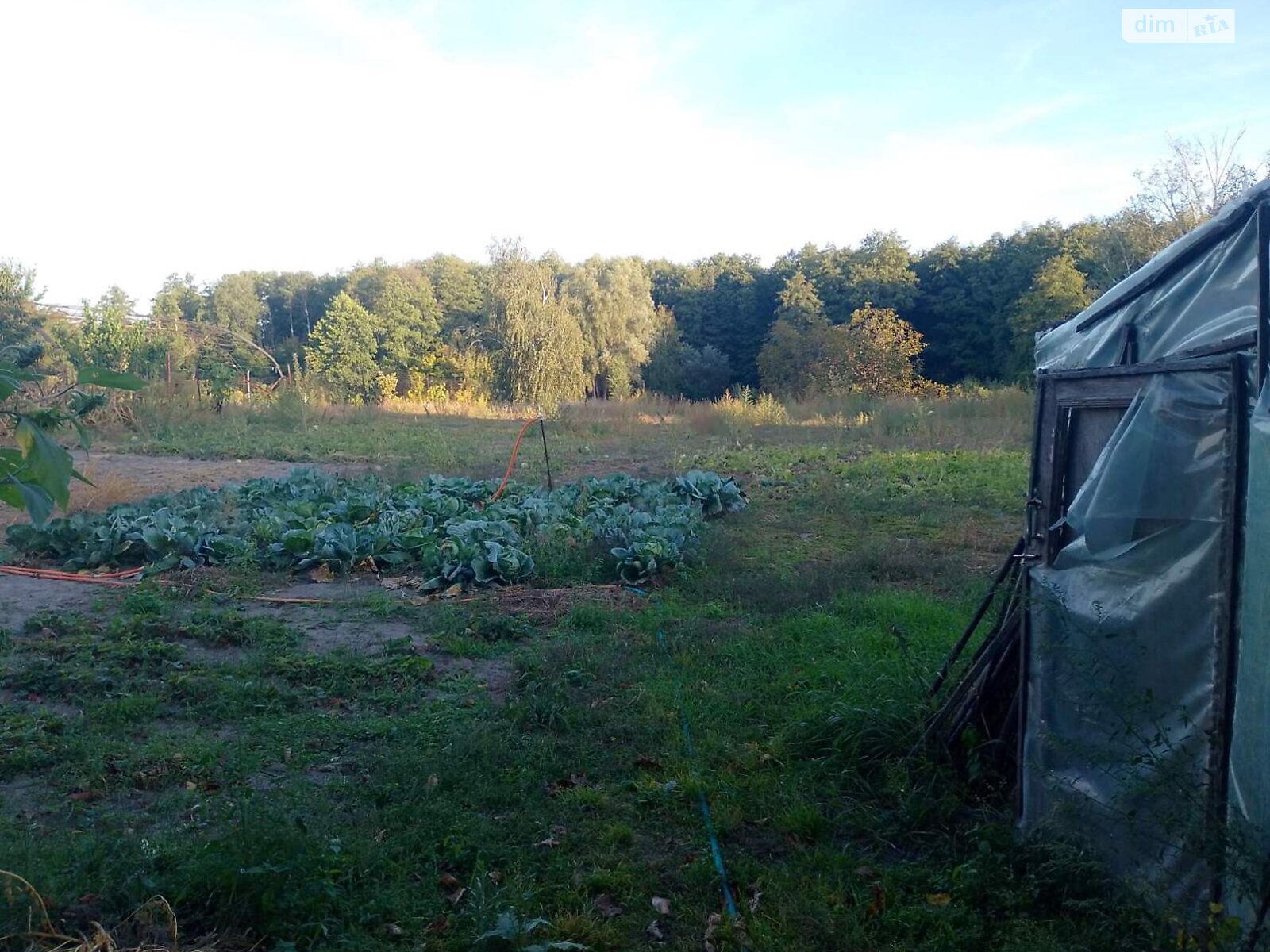 Земельный участок под жилую застройку в Зазимье, площадь 44 сотки фото 1