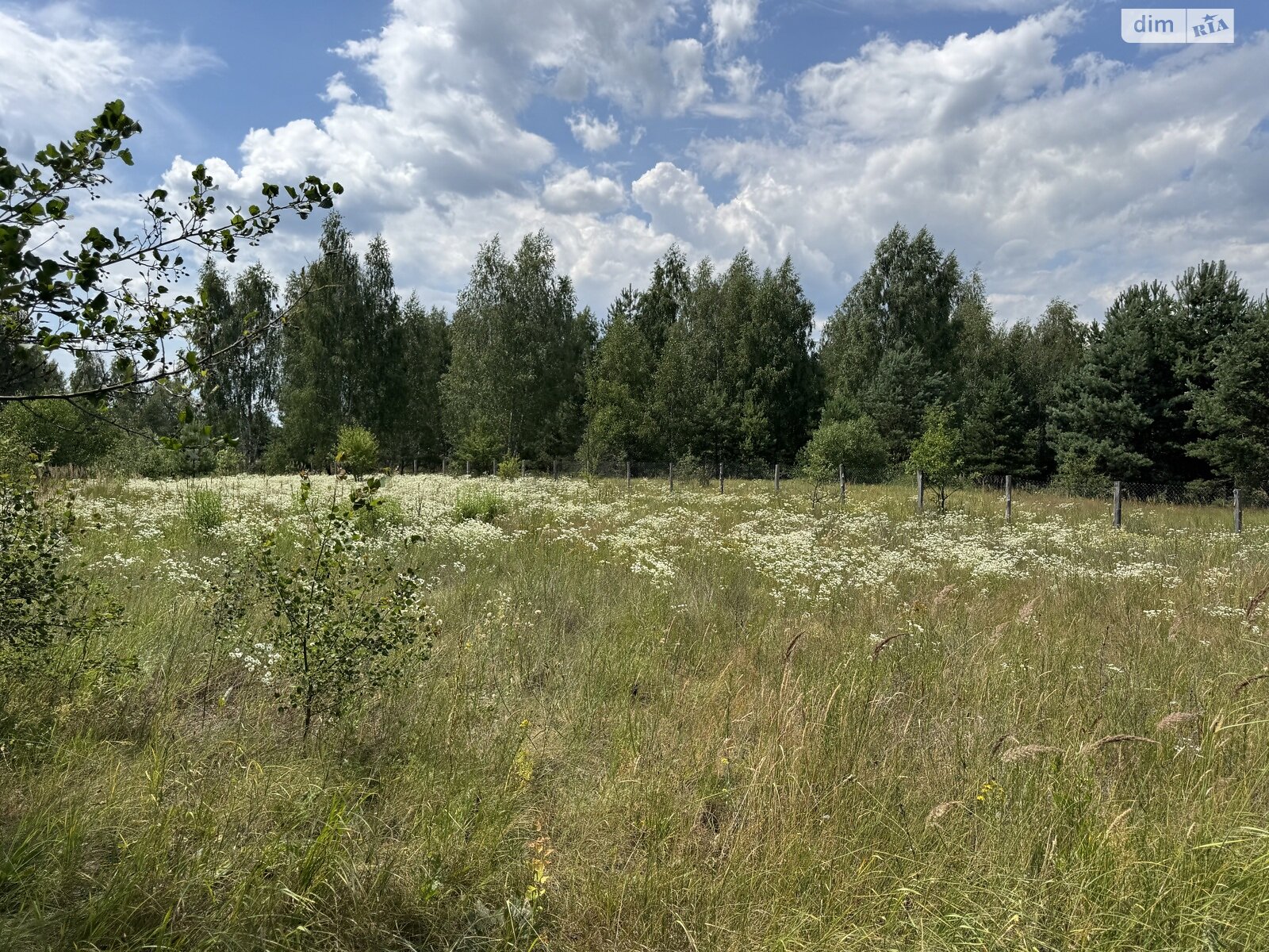 Земельна ділянка під житлову забудову в Здвижівці, площа 25 соток фото 1 Земельна ділянка під житлову забудову в Здвижівці, площа 25 соток фото 1