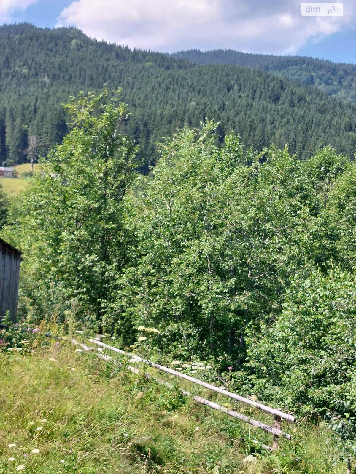 Земельный участок под жилую застройку в Зеленом, площадь 65 соток фото 1 Земельный участок под жилую застройку в Зеленом, площадь 65 соток фото 1
