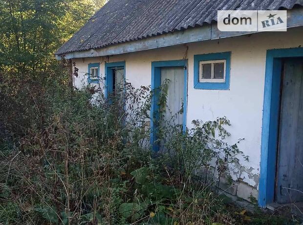 Земля под жилую застройку в селе Старая Оржица, площадь 80 соток фото 1 Земля под жилую застройку в селе Старая Оржица, площадь 80 соток фото 1