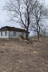 Земельна ділянка під житлову забудову в Зимному, площа 47.9 сотки фото 2