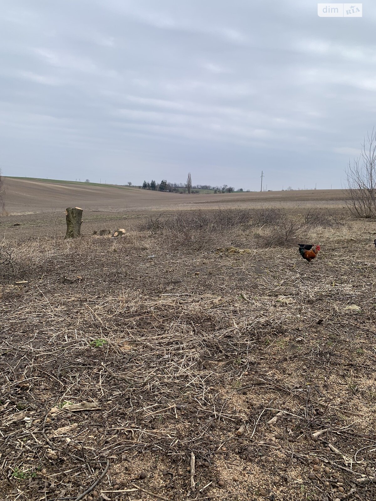 Земельна ділянка під житлову забудову в Зимному, площа 47.9 сотки фото 1