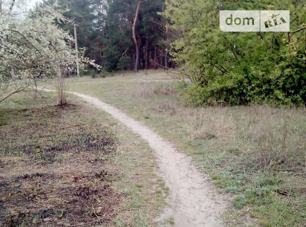 Земля под жилую застройку в селе Левковка, площадь 15 соток фото 1 Земля под жилую застройку в селе Левковка, площадь 15 соток фото 1