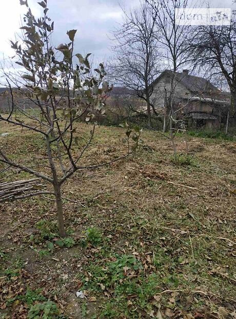 Земля под жилую застройку в селе Колтов, площадь 50 соток фото 1 Земля под жилую застройку в селе Колтов, площадь 50 соток фото 1