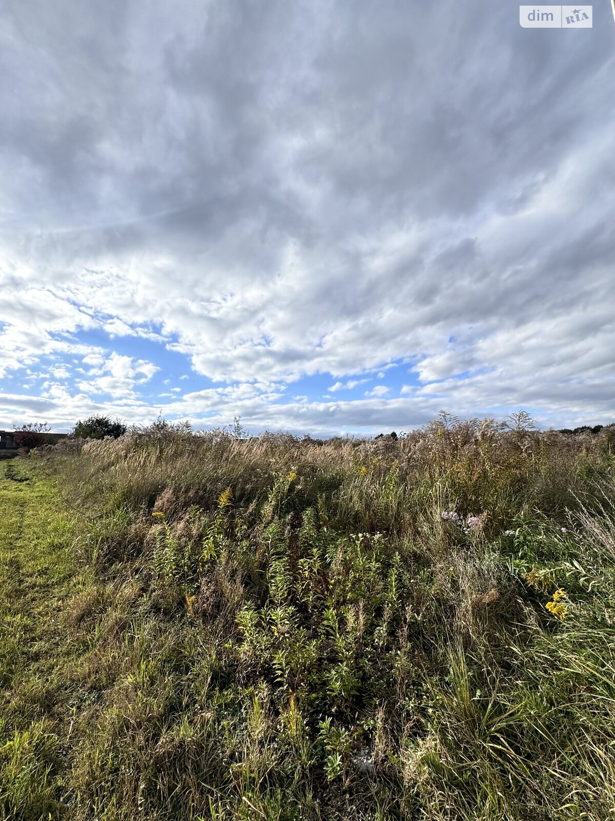 Земельный участок под жилую застройку в Зубре, площадь 20.51 сотки фото 1 Земельный участок под жилую застройку в Зубре, площадь 20.51 сотки фото 1