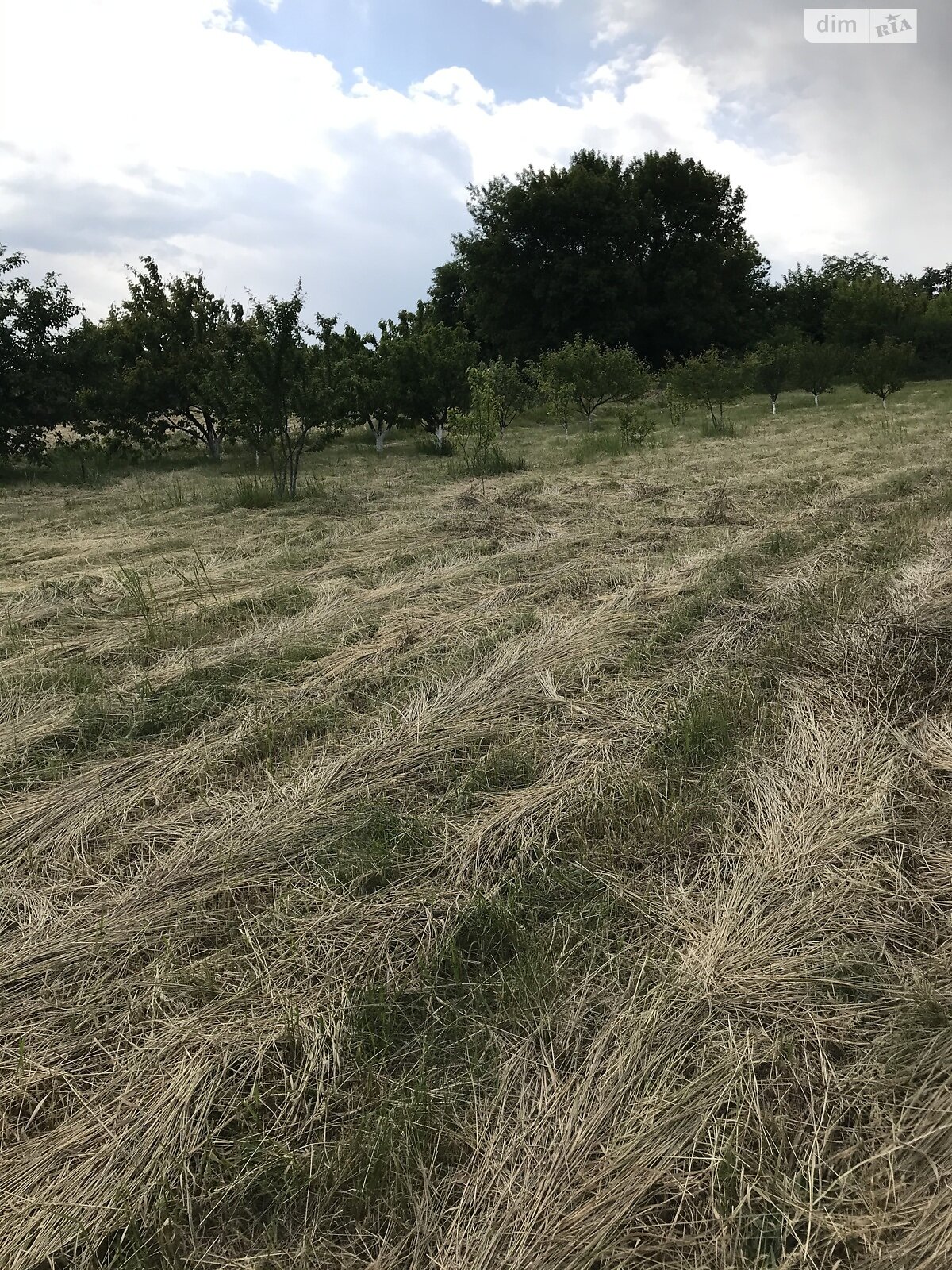 Земельный участок под жилую застройку в Звонецком, площадь 20 соток фото 1