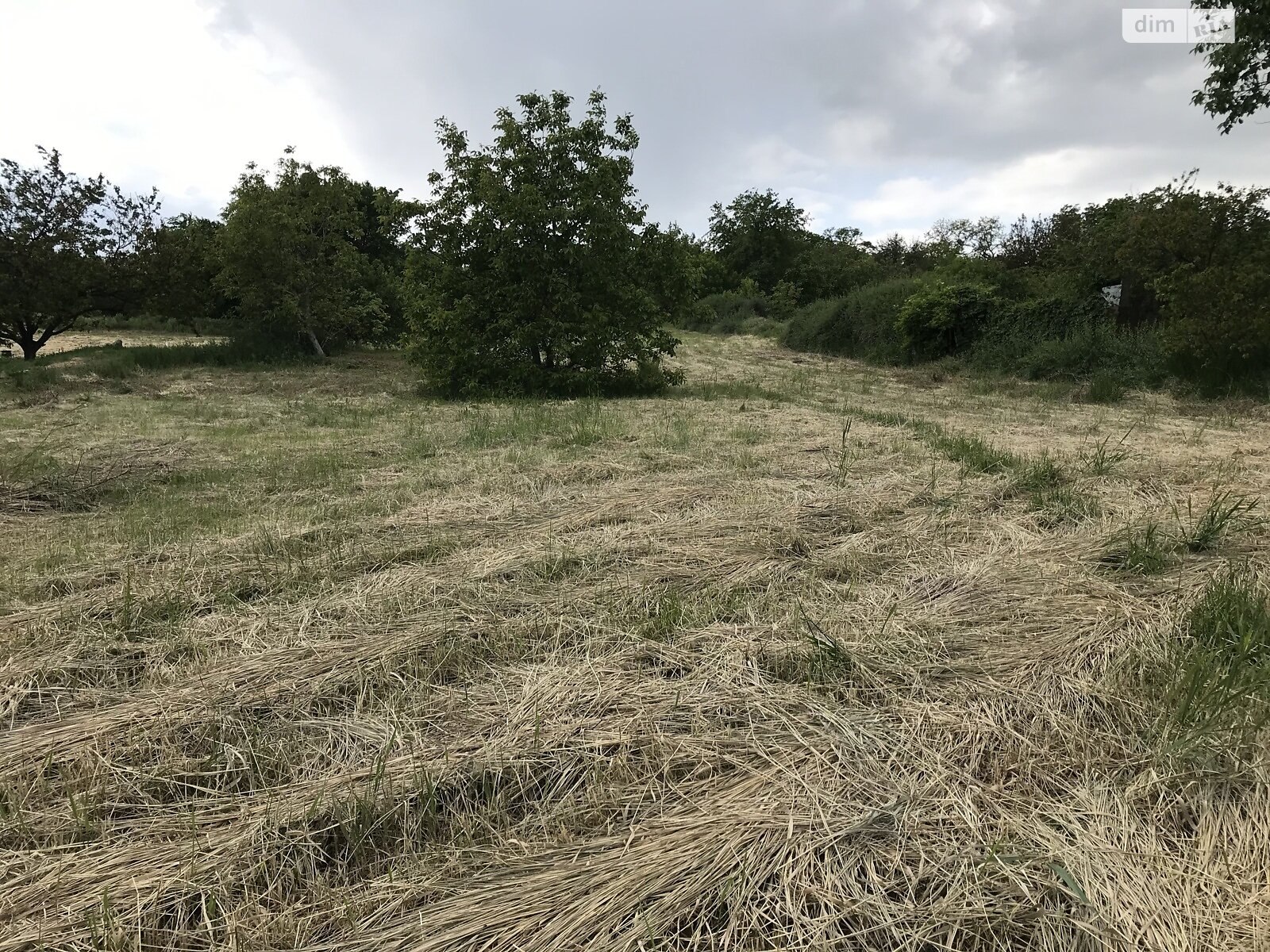 Земельный участок под жилую застройку в Звонецком, площадь 20 соток фото 1