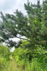 Земельный участок под жилую застройку в Зымна Вода, площадь 10 соток фото 2