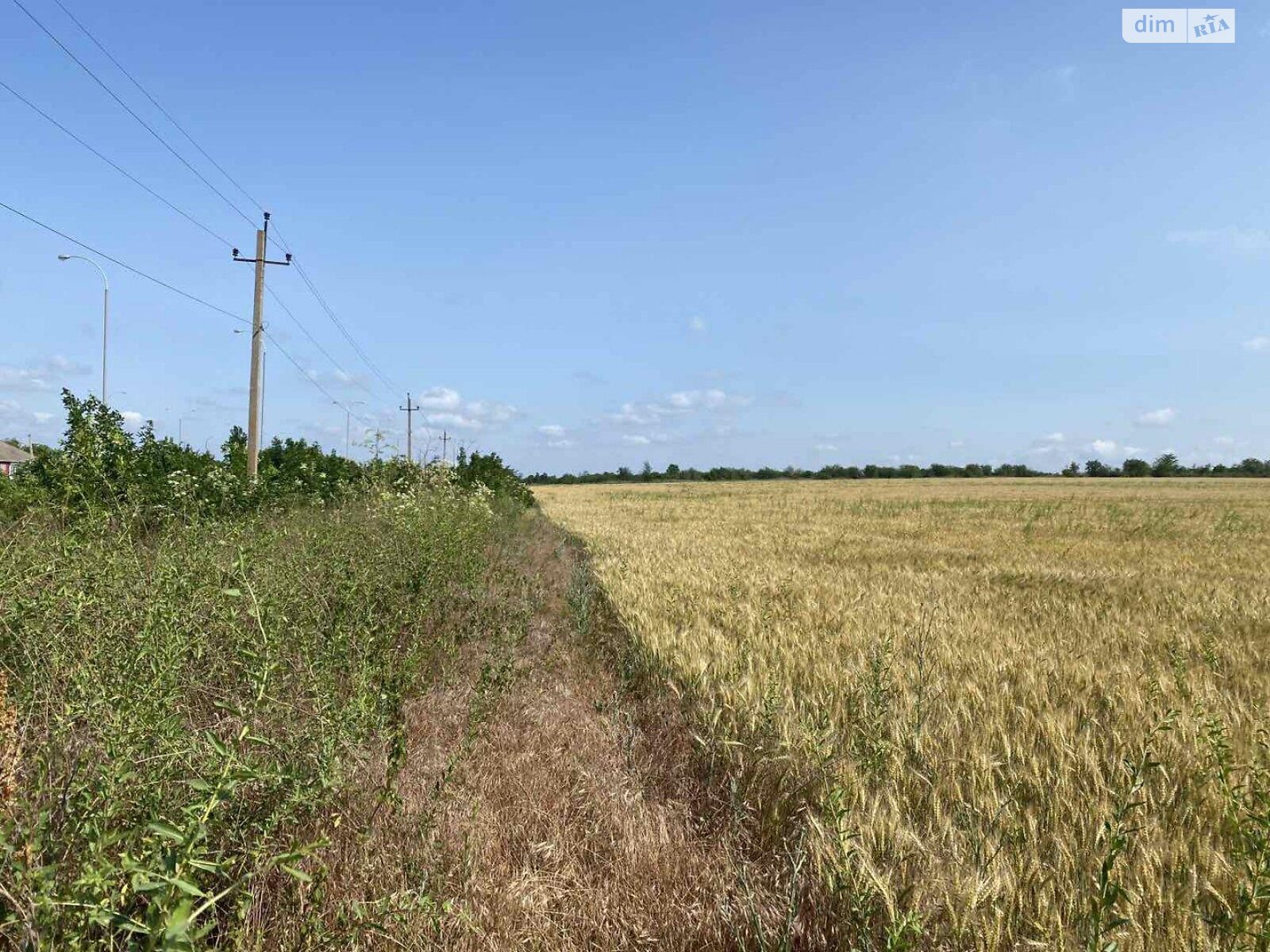 Земельна ділянка комерційного призначення в Алтестові, площа 211.64 сотки фото 1 Земельна ділянка комерційного призначення в Алтестові, площа 211.64 сотки фото 1