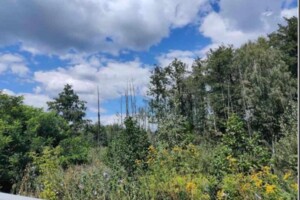 Земельный участок коммерческого назначения в Берёзовке, площадь 5 Га фото 2 Земельный участок коммерческого назначения в Берёзовке, площадь 5 Га фото 2