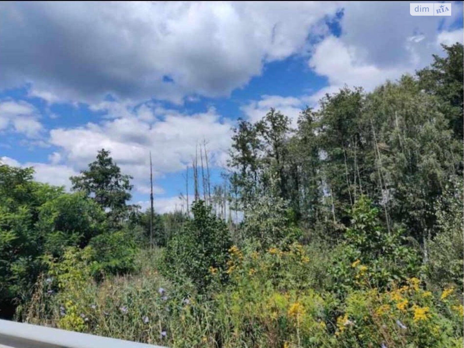 Земельный участок коммерческого назначения в Берёзовке, площадь 5 Га фото 1 Земельный участок коммерческого назначения в Берёзовке, площадь 5 Га фото 1