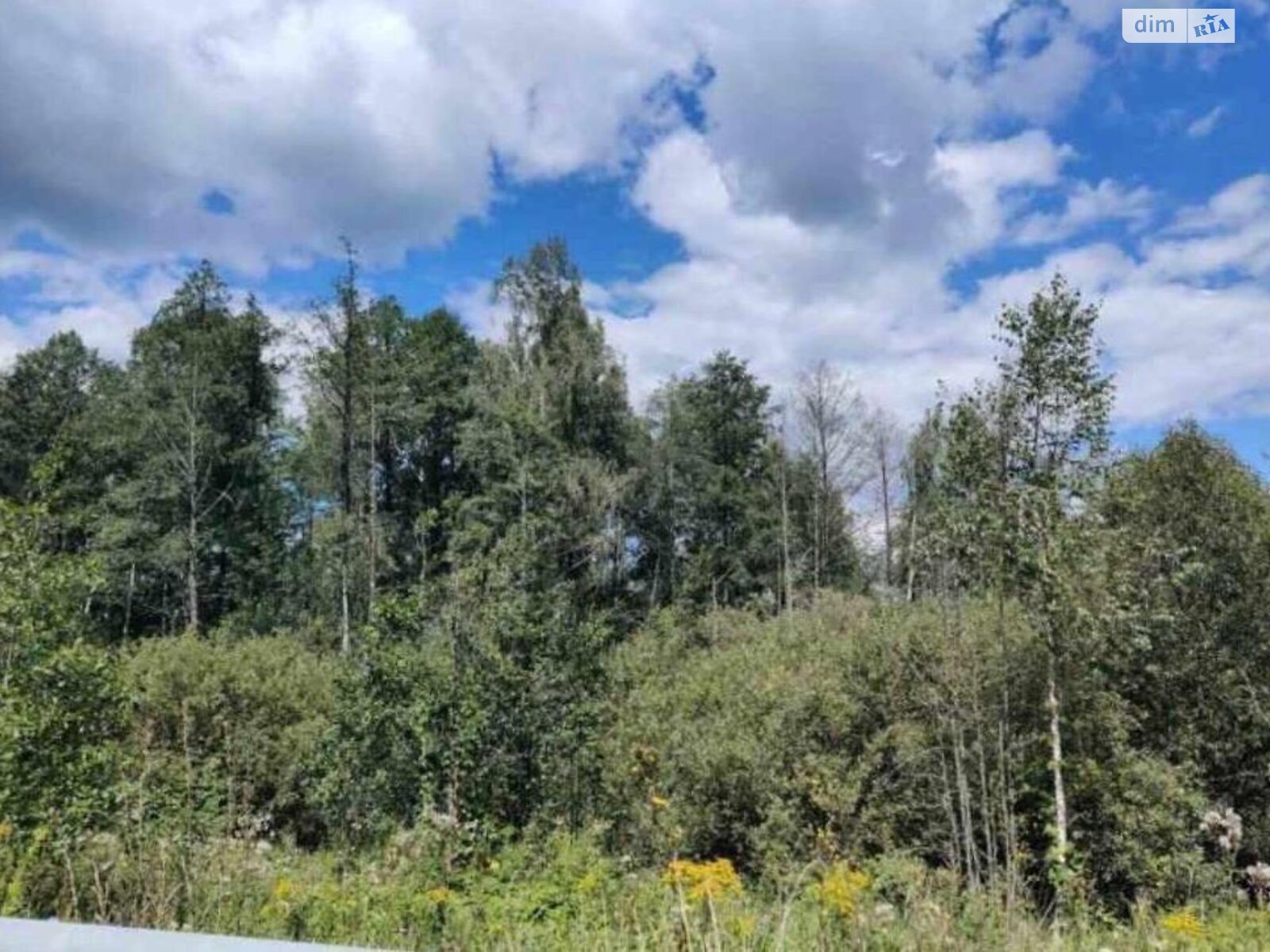 Земельный участок коммерческого назначения в Берёзовке, площадь 5 Га фото 1 Земельный участок коммерческого назначения в Берёзовке, площадь 5 Га фото 1