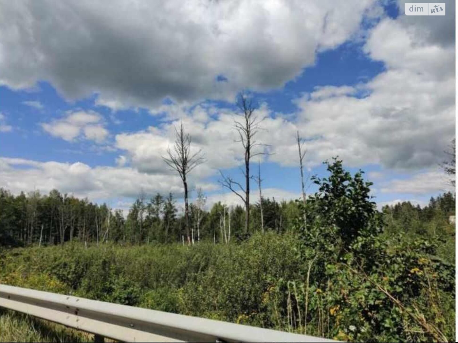 Земельный участок коммерческого назначения в Берёзовке, площадь 5 Га фото 1 Земельный участок коммерческого назначения в Берёзовке, площадь 5 Га фото 1