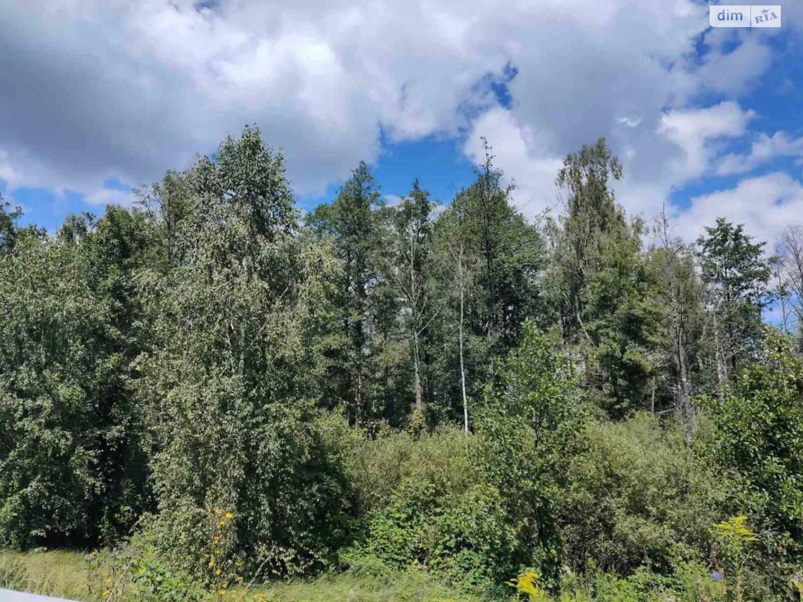 Земельный участок коммерческого назначения в Берёзовке, площадь 5 Га фото 1 Земельный участок коммерческого назначения в Берёзовке, площадь 5 Га фото 1