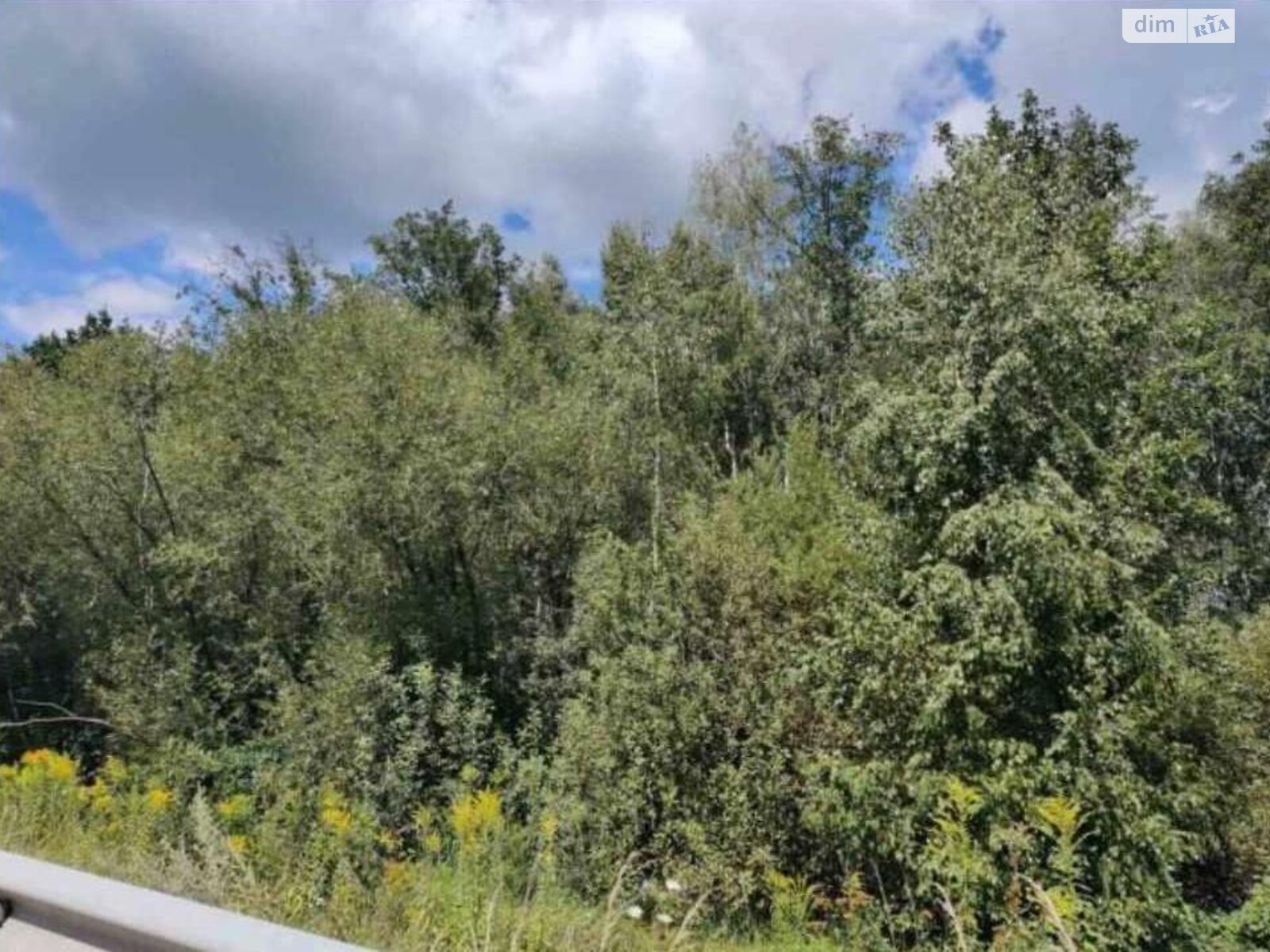 Земельный участок коммерческого назначения в Берёзовке, площадь 5 Га фото 1 Земельный участок коммерческого назначения в Берёзовке, площадь 5 Га фото 1