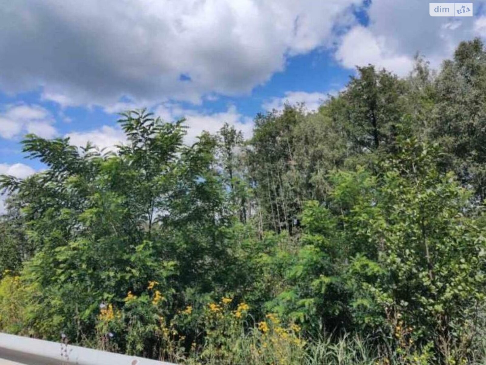 Земельный участок коммерческого назначения в Берёзовке, площадь 5 Га фото 1 Земельный участок коммерческого назначения в Берёзовке, площадь 5 Га фото 1