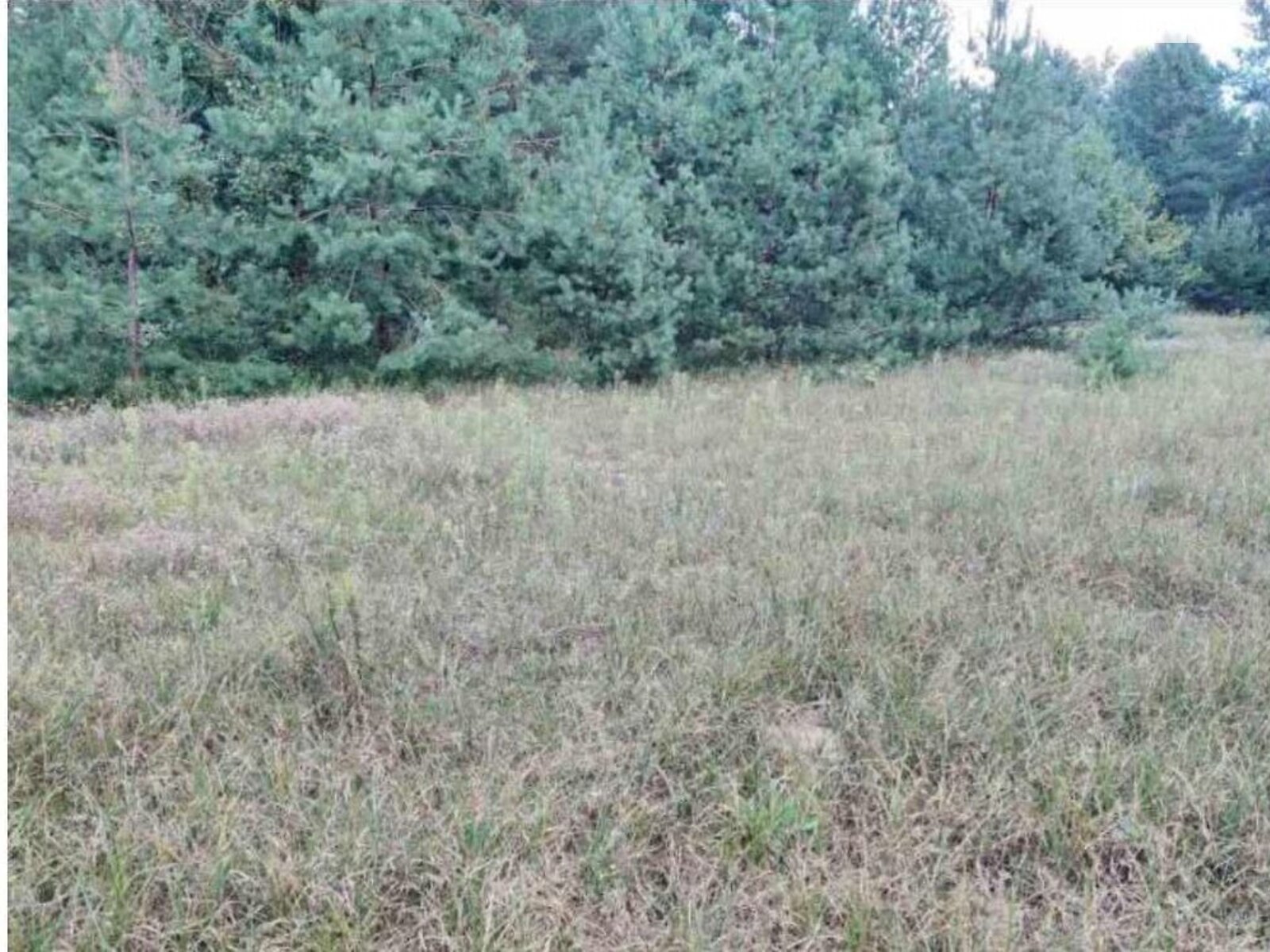 Земельна ділянка комерційного призначення в Березівці, площа 26.7409 Га фото 1 Земельна ділянка комерційного призначення в Березівці, площа 26.7409 Га фото 1