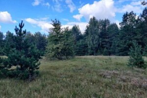 Земельна ділянка комерційного призначення в Березівці, площа 26.7409 Га фото 2 Земельна ділянка комерційного призначення в Березівці, площа 26.7409 Га фото 2