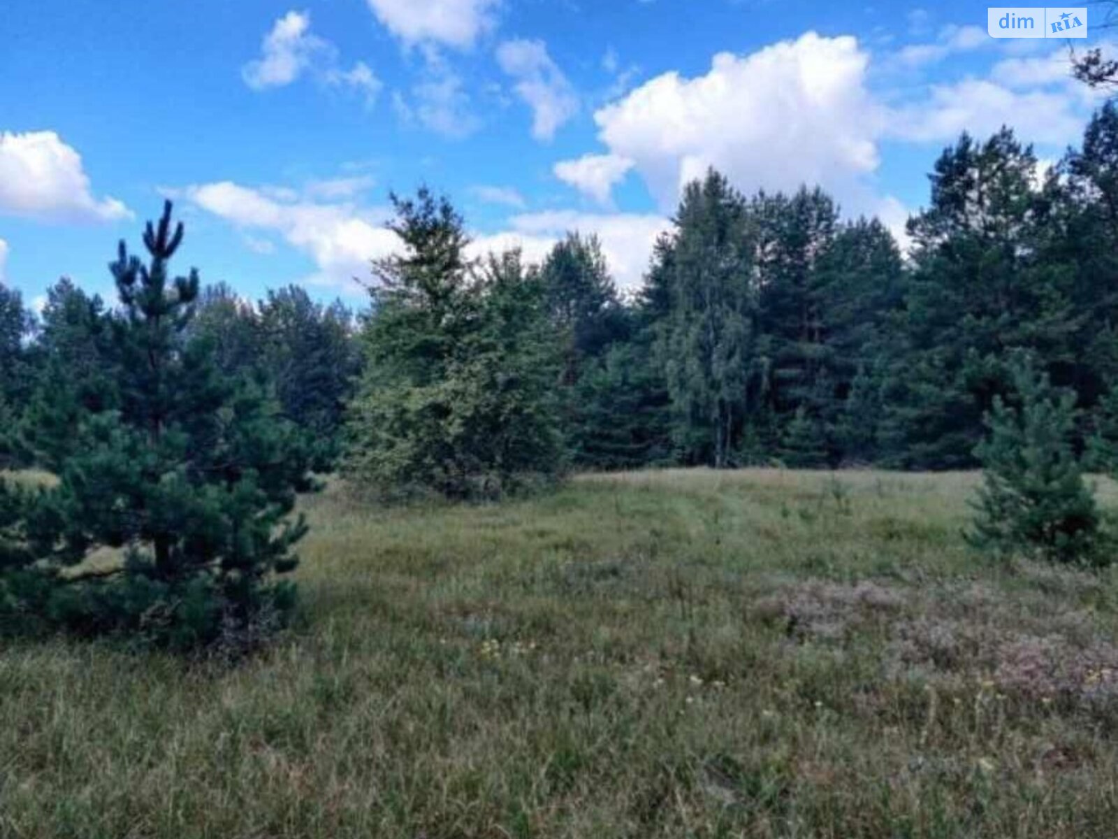 Земельна ділянка комерційного призначення в Березівці, площа 26.7409 Га фото 1 Земельна ділянка комерційного призначення в Березівці, площа 26.7409 Га фото 1