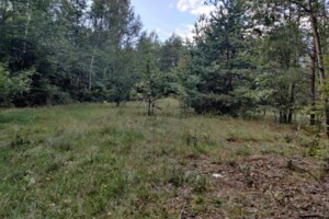 Земельный участок коммерческого назначения в Берёзовке, площадь 26.7409 Га фото 2