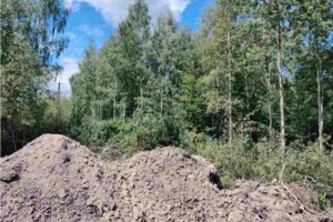 Земельный участок коммерческого назначения в Берёзовке, площадь 7.5 Га фото 2