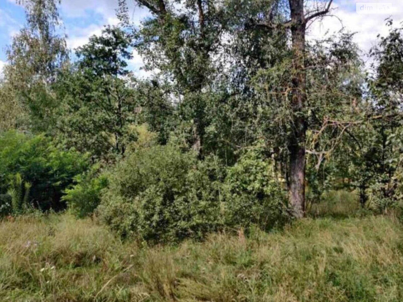 Земельна ділянка комерційного призначення в Березівці, площа 26.7409 Га фото 1 Земельна ділянка комерційного призначення в Березівці, площа 26.7409 Га фото 1