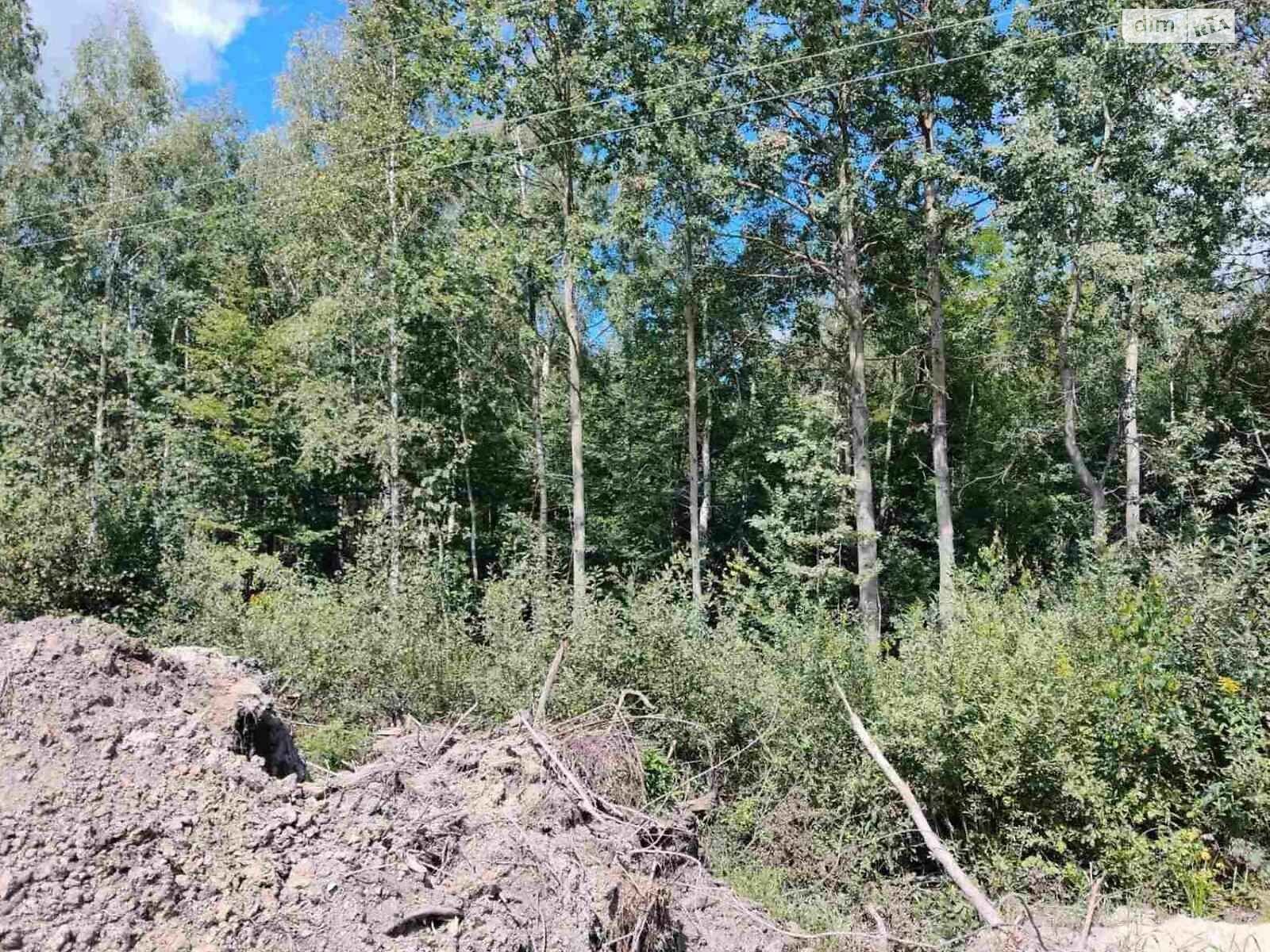 Земельный участок коммерческого назначения в Берёзовке, площадь 7.5 Га фото 1