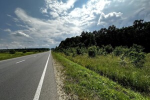 Земля коммерческого назначения в Богородчанах, район Богородчаны, площадь 50 соток фото 2