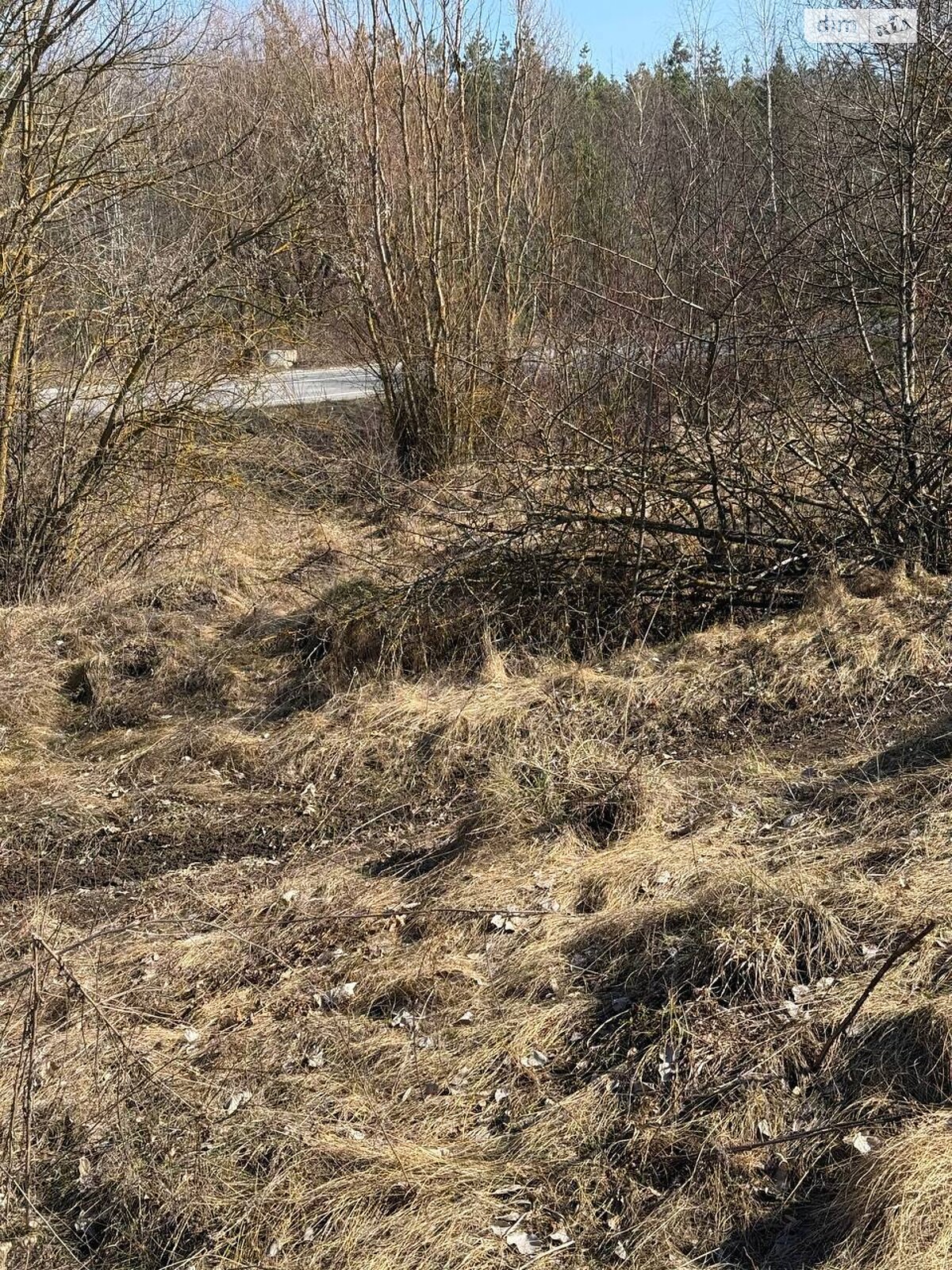 Земельна ділянка комерційного призначення в Бокиївці, площа 200 соток фото 1 Земельна ділянка комерційного призначення в Бокиївці, площа 200 соток фото 1