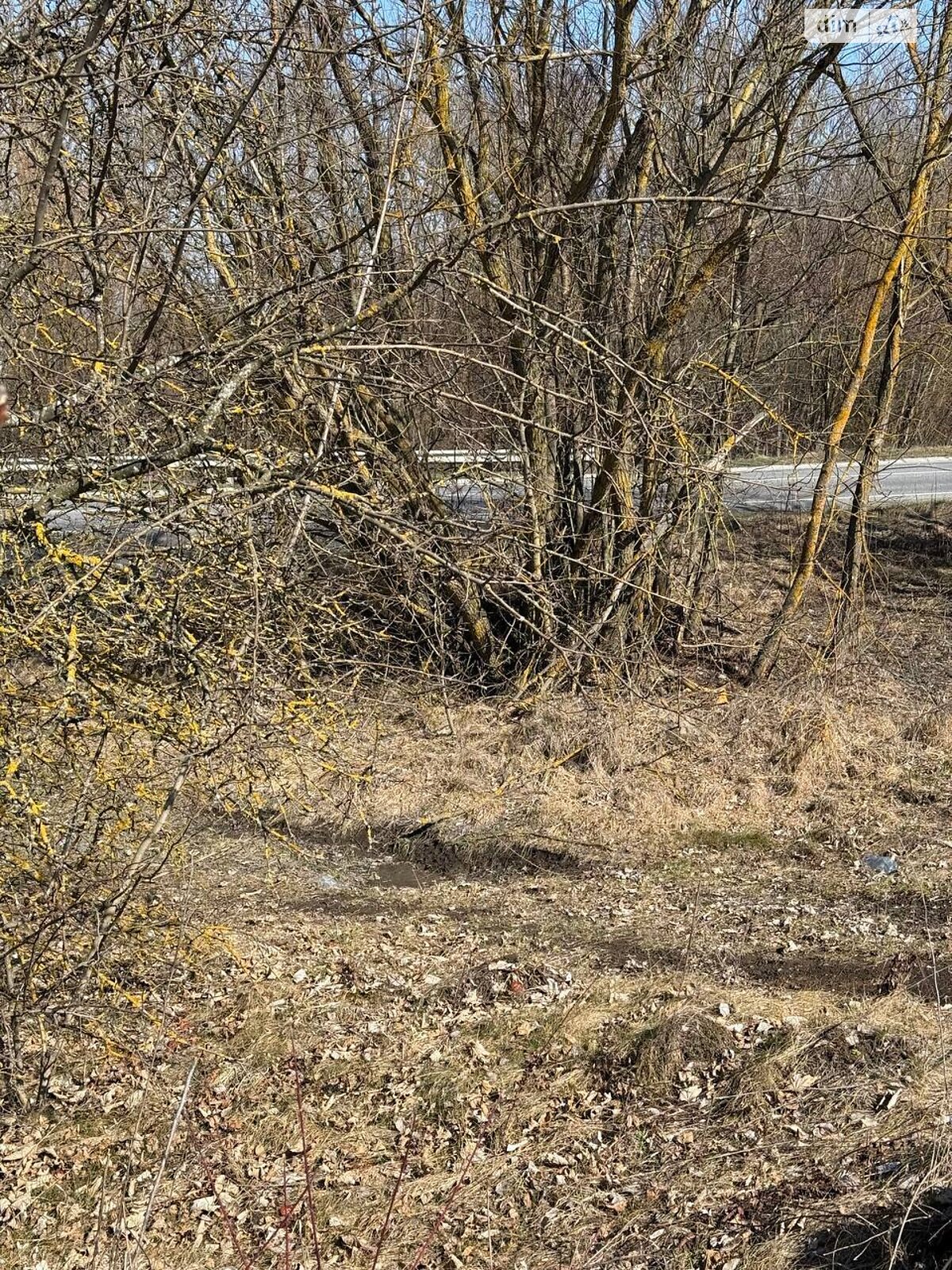 Земельна ділянка комерційного призначення в Бокиївці, площа 200 соток фото 1