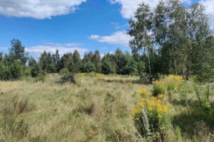 Земельна ділянка комерційного призначення в Болярці, площа 30.4454 Га фото 2