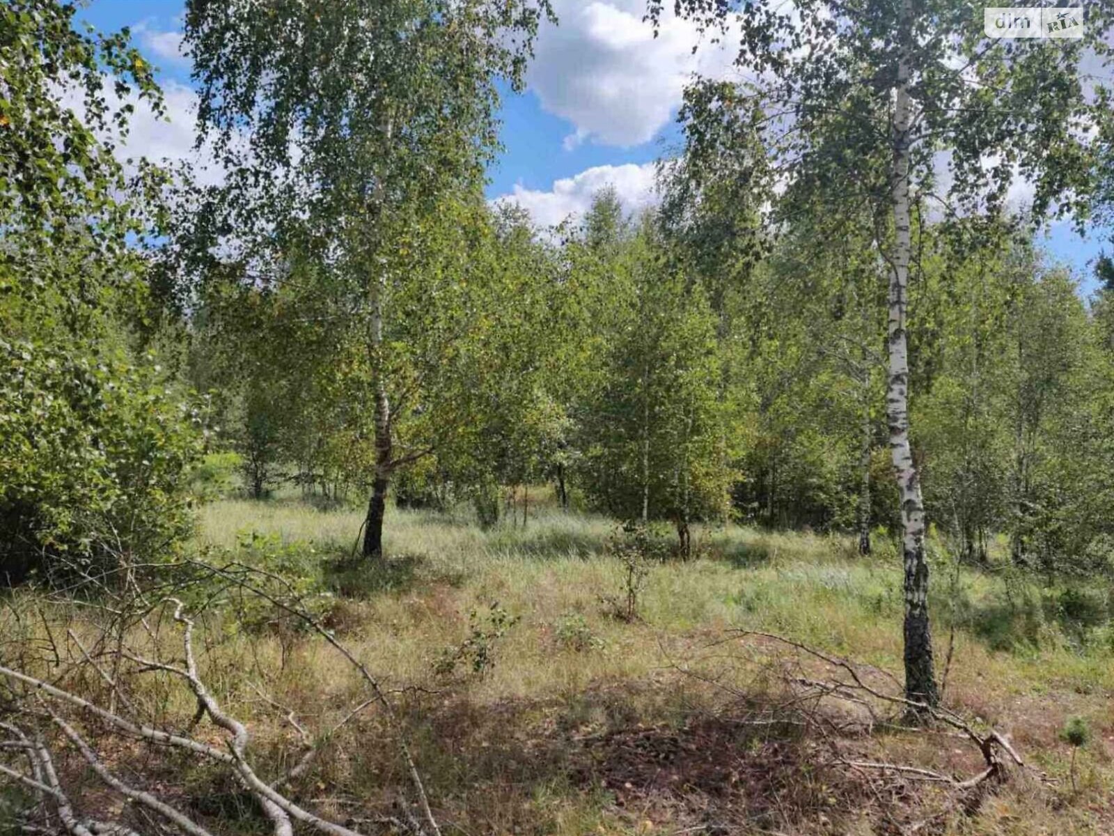 Земельна ділянка комерційного призначення в Болярці, площа 30.4454 Га фото 1