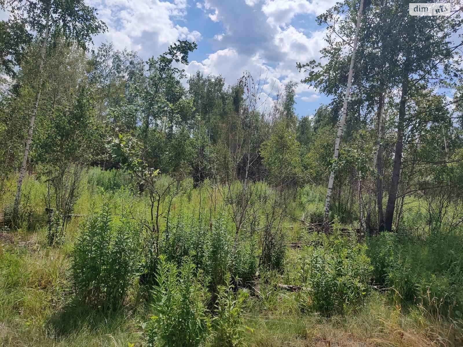 Земельный участок коммерческого назначения в Болярке, площадь 24.9977 Га фото 1