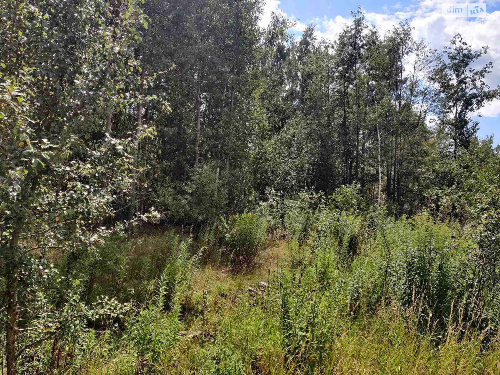 Земельный участок коммерческого назначения в Болярке, площадь 24.9977 Га фото 1