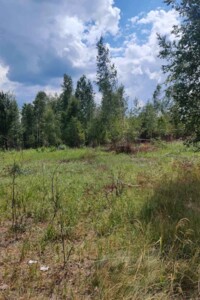 Земельный участок коммерческого назначения в Болярке, площадь 24.9977 Га фото 2