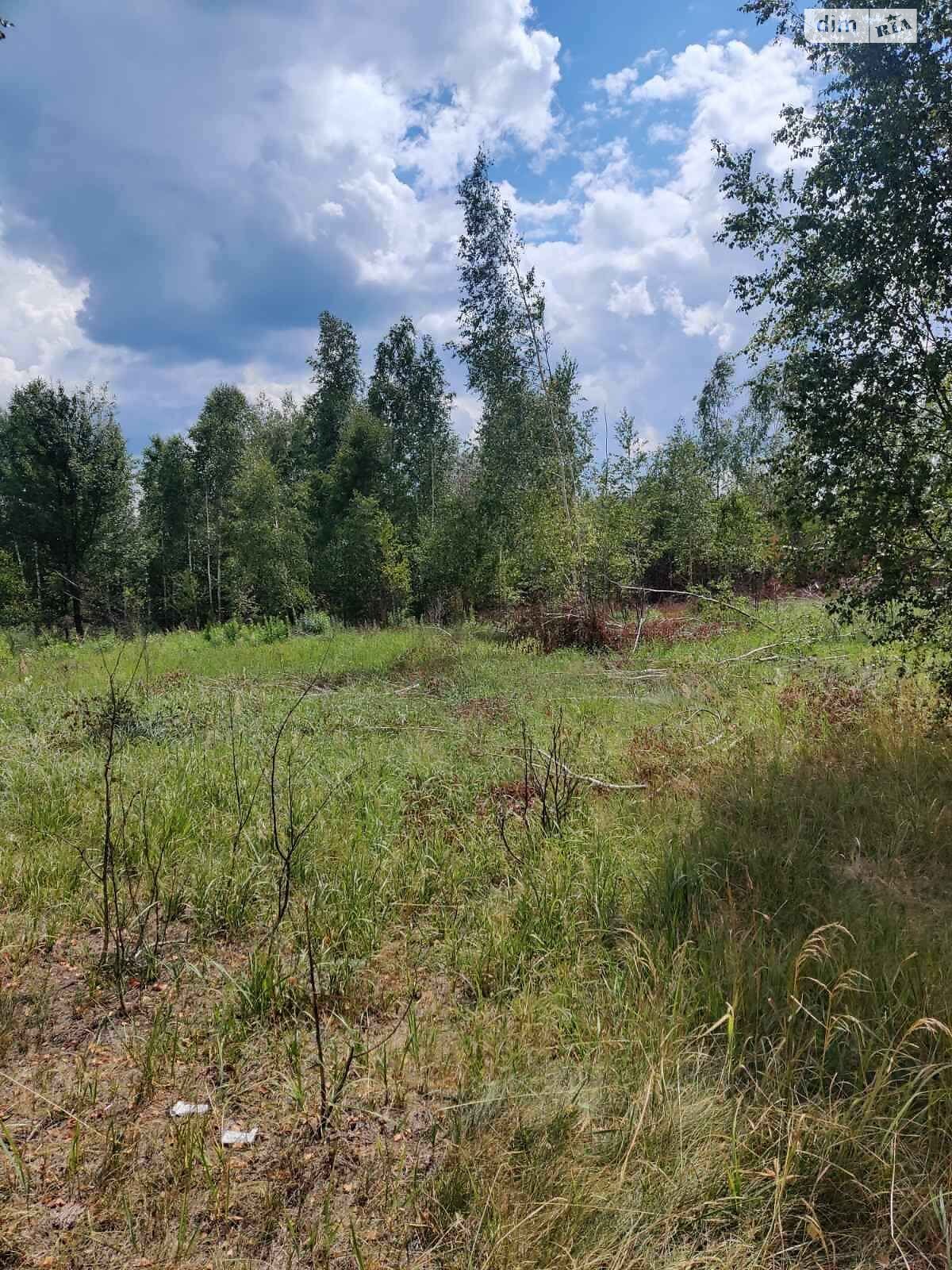 Земельный участок коммерческого назначения в Болярке, площадь 24.9977 Га фото 1